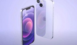 苹果13价格最新爆料图,性价比再升级，抢购指南速览！